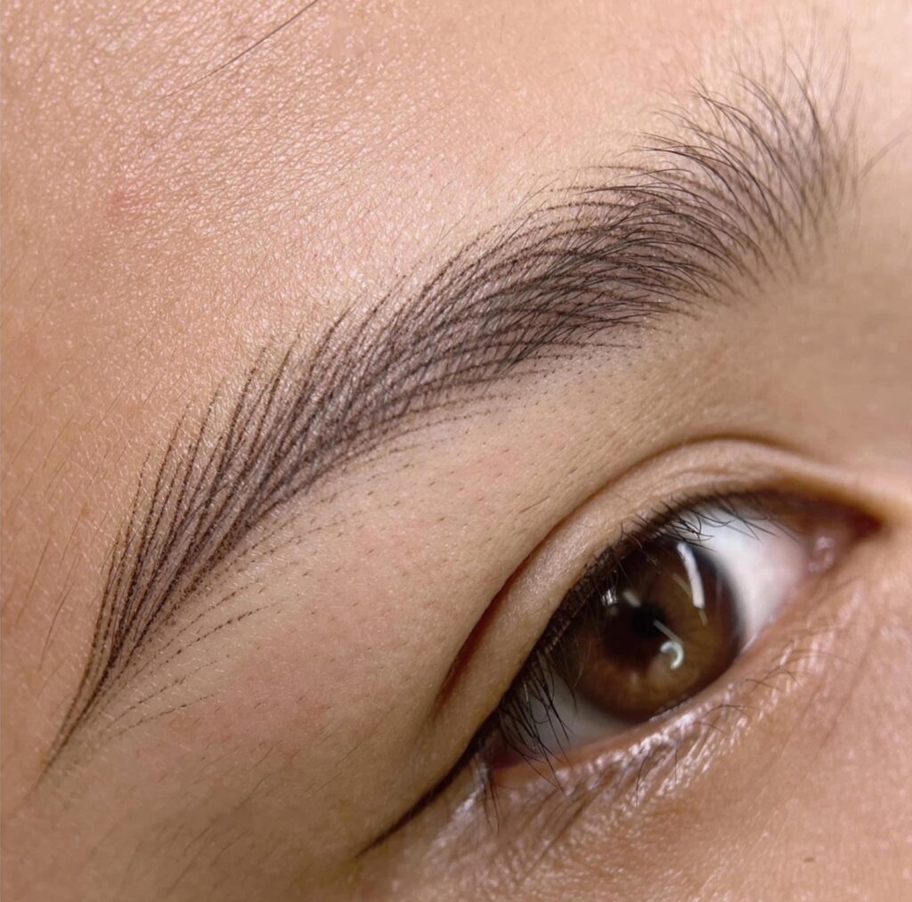 Permanent Make-up Augenbrauen (Härchentechnik)